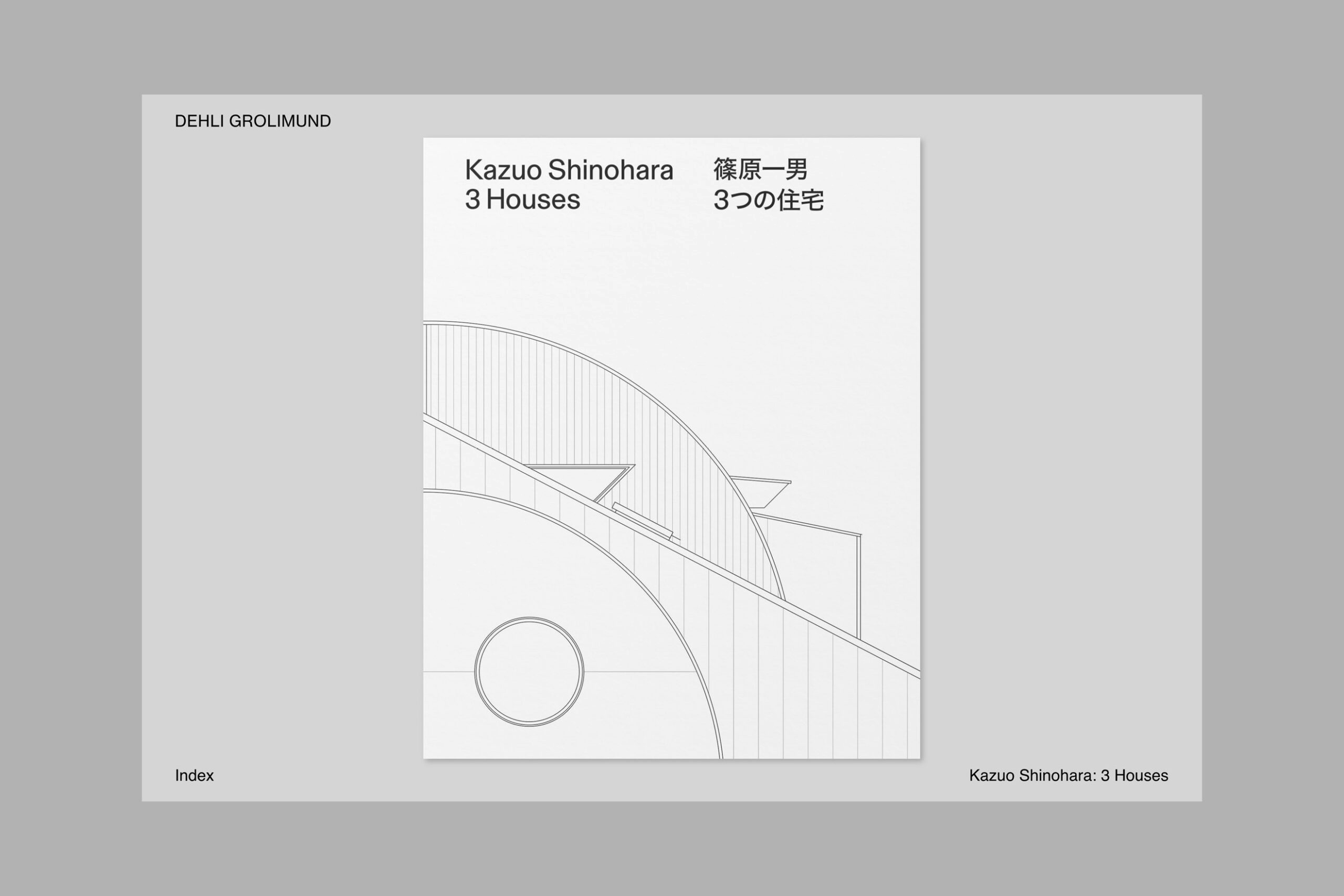 Dehli Grolimund web layout showing the project book cover