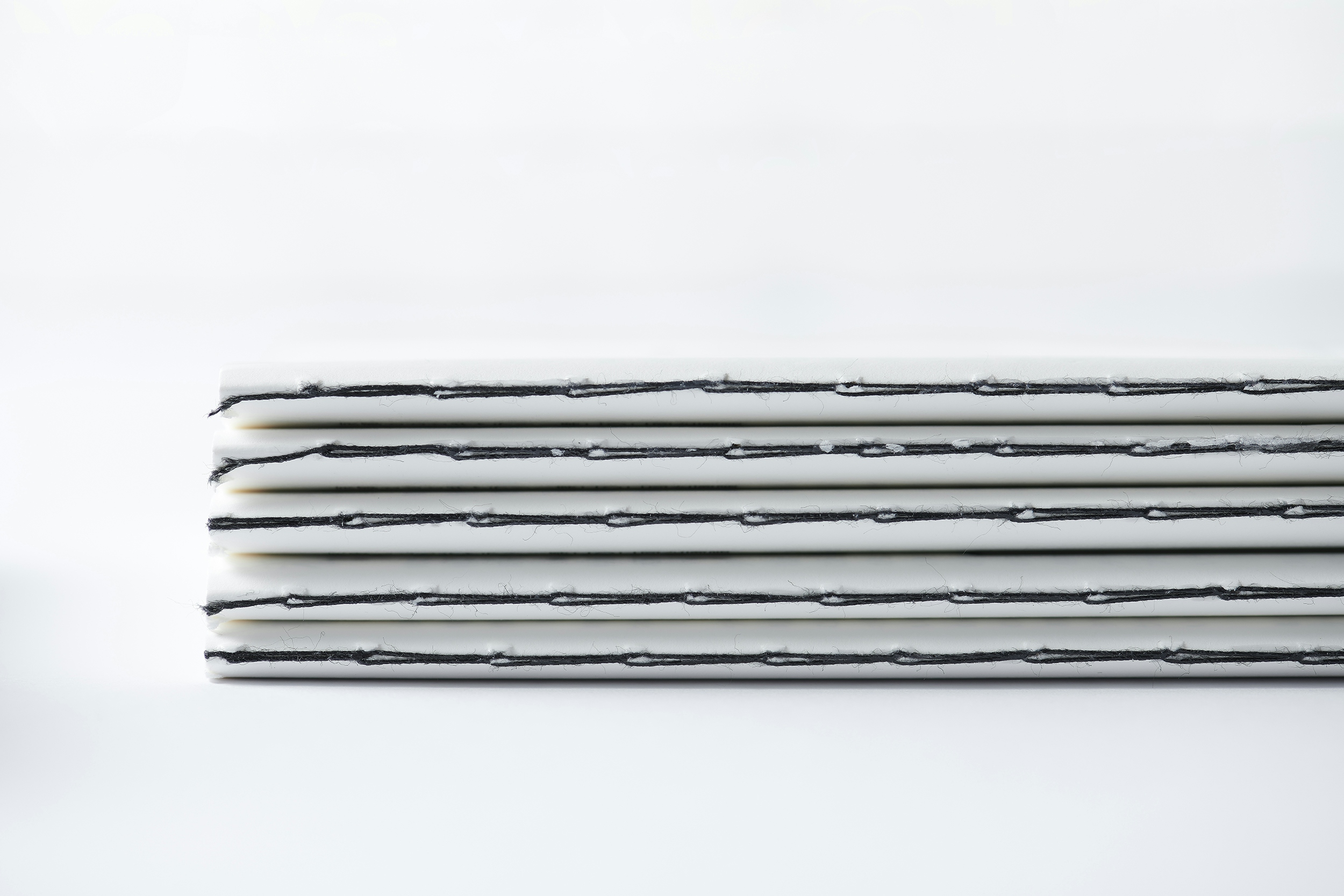 Lars Müller BOOKS – Analogue Reality booklet spine showing the saddle stitch
